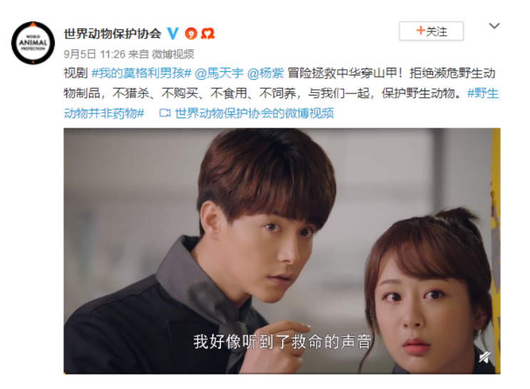 《我的莫格利男孩》热播 引全民关注濒危物种